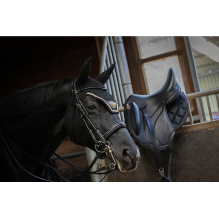 Brida de doma barnizada Jump'In week