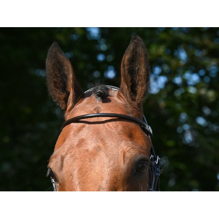 Frontal Jump'In barnizado redondo