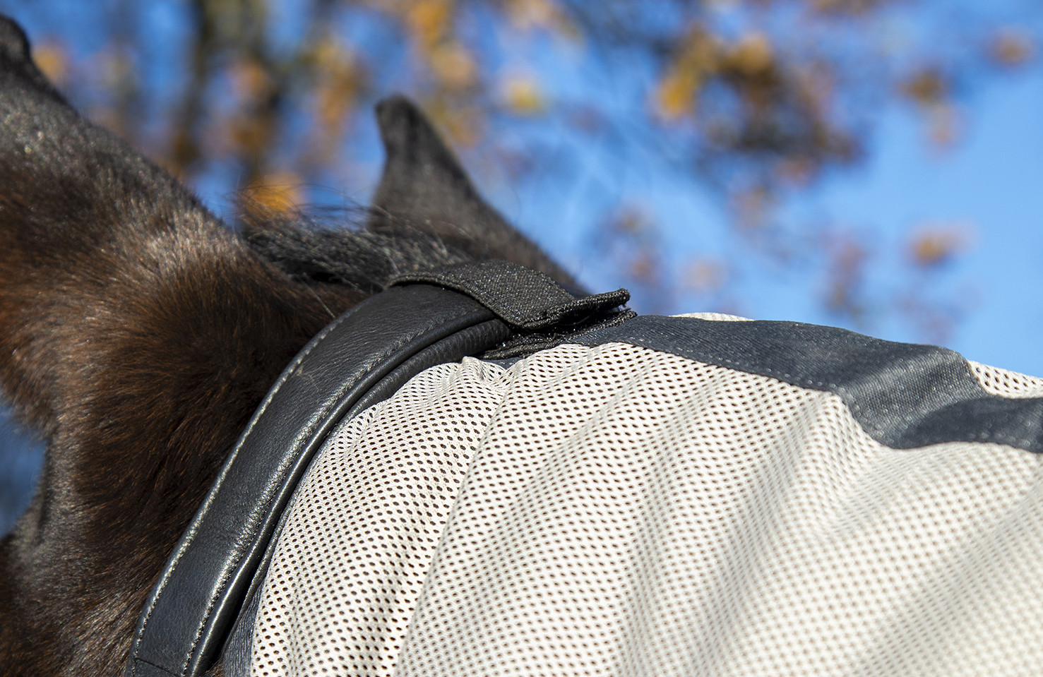 Cubre-moscas con flecos estilo con cubre-cuello desmontable HKM Plateado / gris Plata Cubre-moscas con flecos estilo con cubre-cuello desmontable HKM Plateado / gris Plata