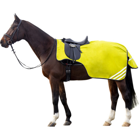 Cubre riñones polar Reflective forro polar HKM