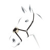 Brida con muserola mexicana Equestro - Negro