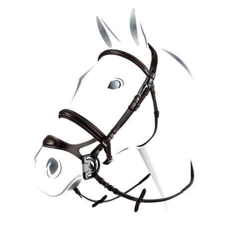 Brida combinada Equestro