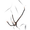 Pechopetral con clincher y horquilla de cuero oro rosa Equestro - Negro