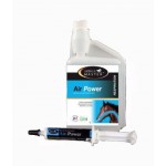 Luchtkracht Paardenmeester