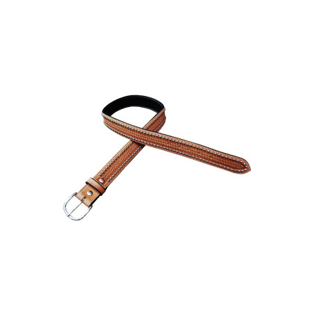 Cinturón Western Classic Pool's