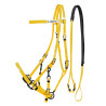 Cabezada Halter de Biothane Lakota - Amarillo