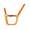 Cabezada de nailon con partes de colores Umbria Equitazione - Oro / naranja