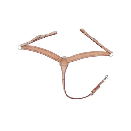 Pechopetral Barbwire Pool's