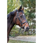 Cabezada cuero negro Classic Covalliero