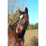 Serretón de cuero Exclusif Covalliero negro