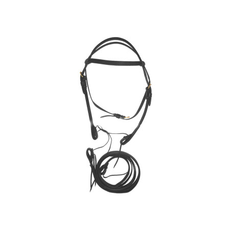 Brida Western de Cuero Doble con Riendas Lakota