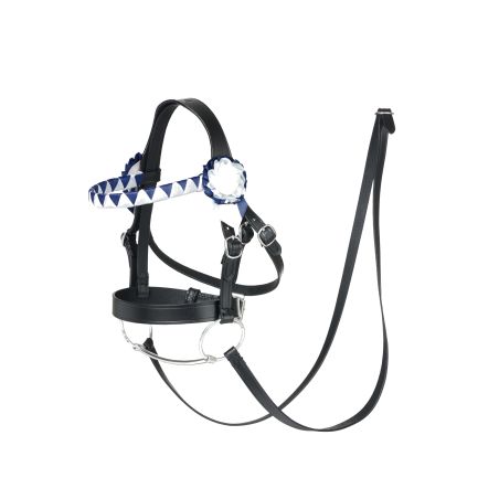 Exhibición de Caballo de Juguete Novia LeMieux