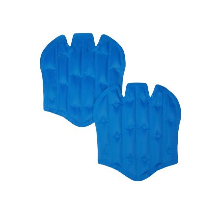 Bolsa de frío para botas refrigerantes Freeze Boots LeMieux