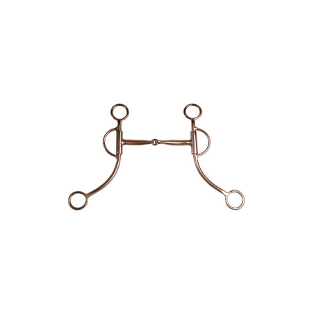 Bocado de acero inoxidable ramas largas Pool's