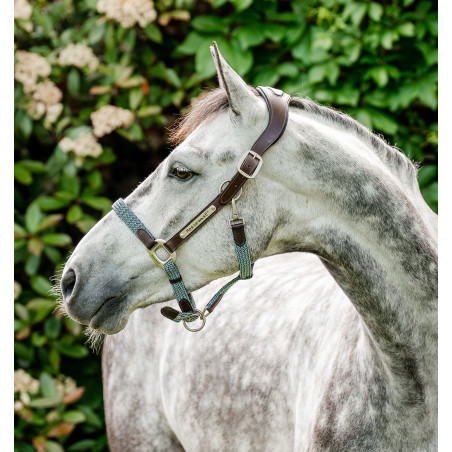 Cabezada Horseware trenzada Signature