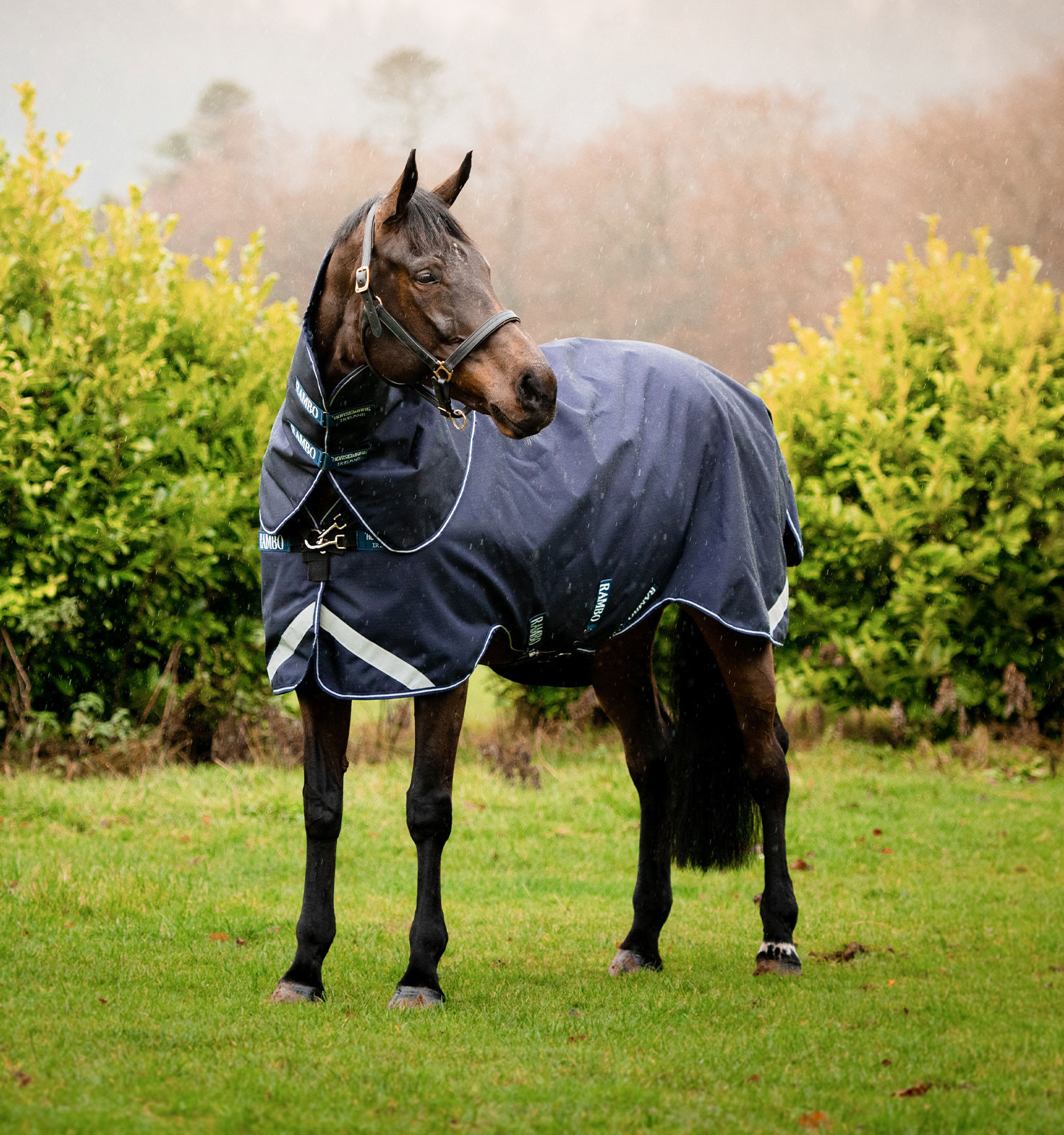 Manta Horseware Rambo Duo Force 100g con liners de 100g y 300g Marino / marino / blanco Azul marino Manta Horseware Rambo Duo Force 100g con liners de 100g y 300g Marino / marino / blanco Azul marino