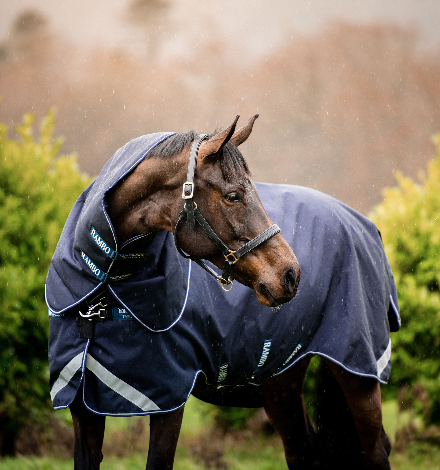 Manta Horseware Rambo Duo Force 100g con liners de 100g y 300g Marino / marino / blanco Azul marino Manta Horseware Rambo Duo Force 100g con liners de 100g y 300g Marino / marino / blanco Azul marino