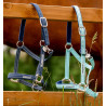 Cabezada Especial de Pasto Horseware® Fieldsafe - Bruma azul