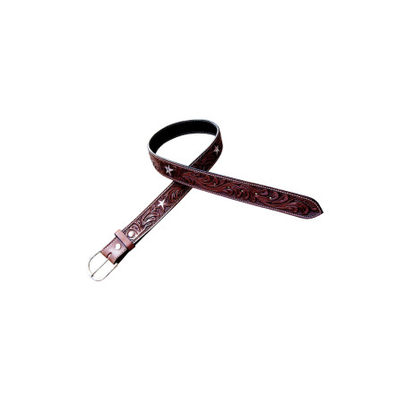 Cinturón Star Pool's