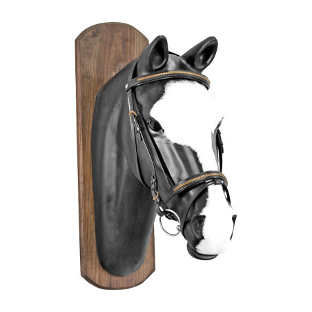 Filete Derby con tachuela dorada y riendas de goma