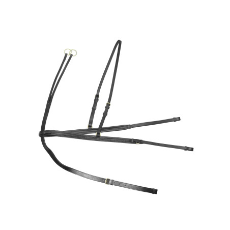 Martingala y pechopetral Denver