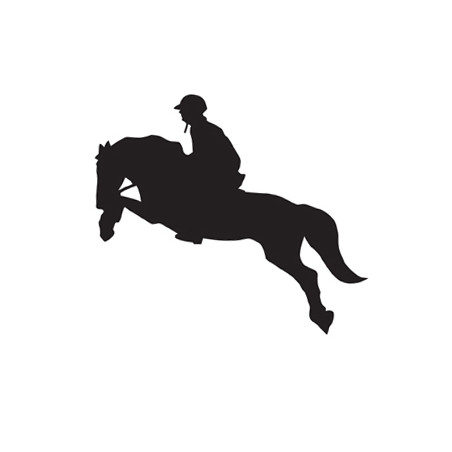 Pegatina coches HKM Jumping 2