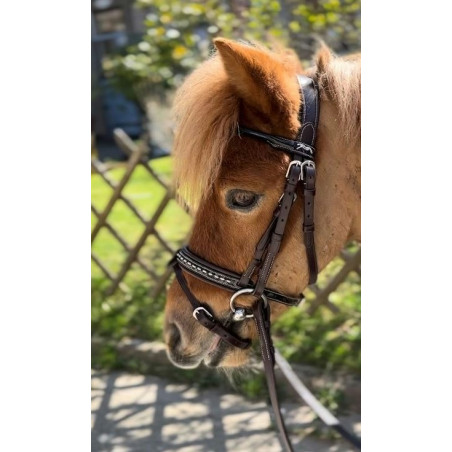 Cabezada Pénélope Eden