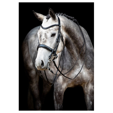 Brida Montar Normandie cuero curtido