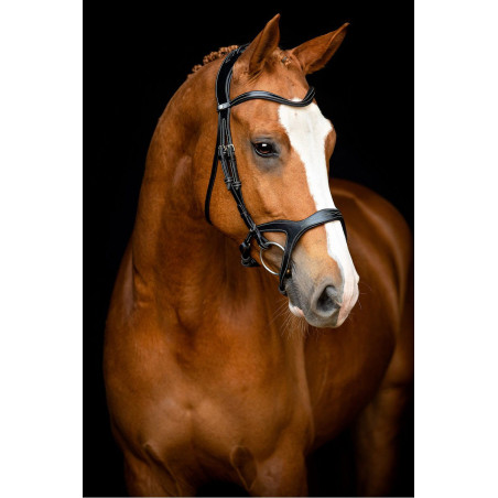 Brida Montar Monarch de cuero curtido de forma orgánica