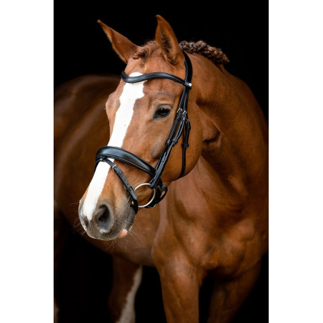 Brida Montar Normandie cuero curtido