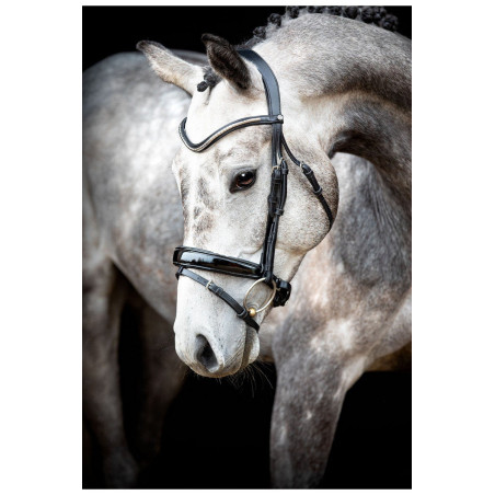 Brida Montar Normandie Deluxe de cuero curtido