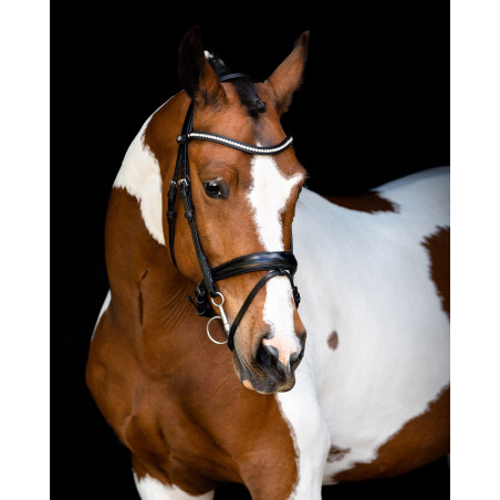 Brida Montar testera Anatómica Fair