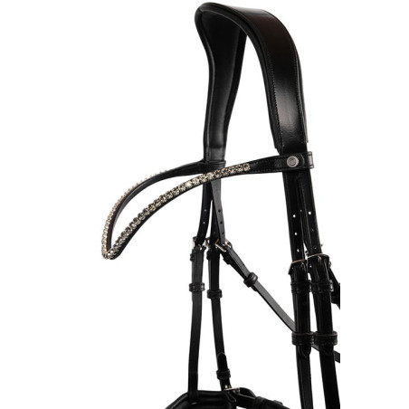 Frontal Montar Fair cristal gris curvado