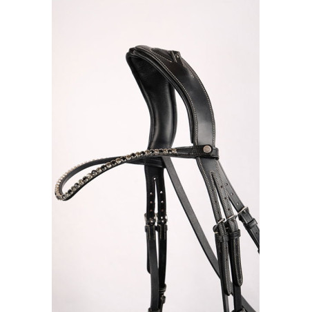 Frontal Montar Fair cristal negro curvado
