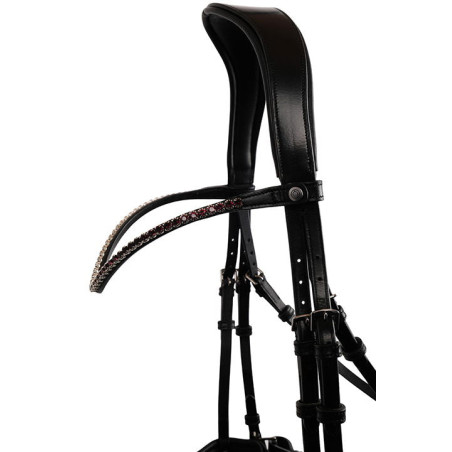 Frontal Montar Fair cristal ciruela curvado