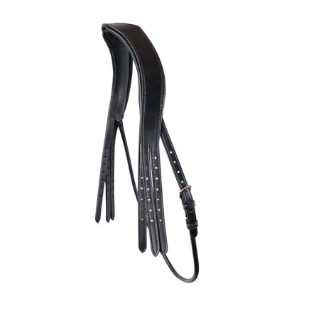 Testera de brida Montar cuero curtido con garganta redonda