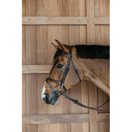 Bridon Working by Dy'on muserola combinada con mosquetones