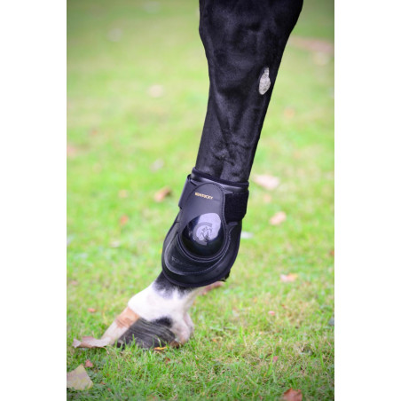 Protector de menudillo Deep para caballos jóvenes Kentucky