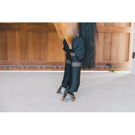 Bajo Venda de Cuadra y de Transporte con Protección de Corvejón Kentucky