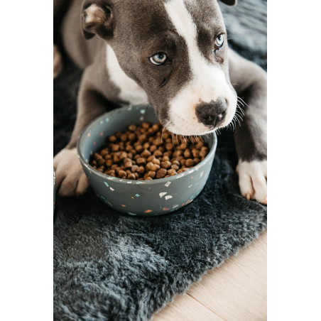 Cuenco para perro Bamboo Terrazzo Kentucky