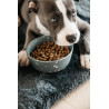 Cuenco para perro Bamboo Terrazzo Kentucky - Gris