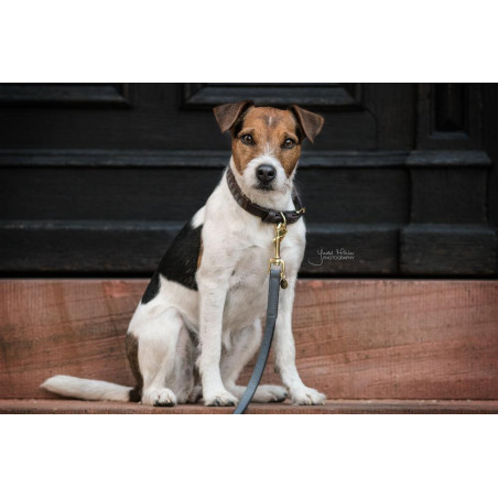 Correa para perro Loop Kentucky