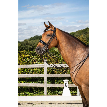 Brida Dy'on Muserola Ancha Barnizada colección dressage cuero redondo