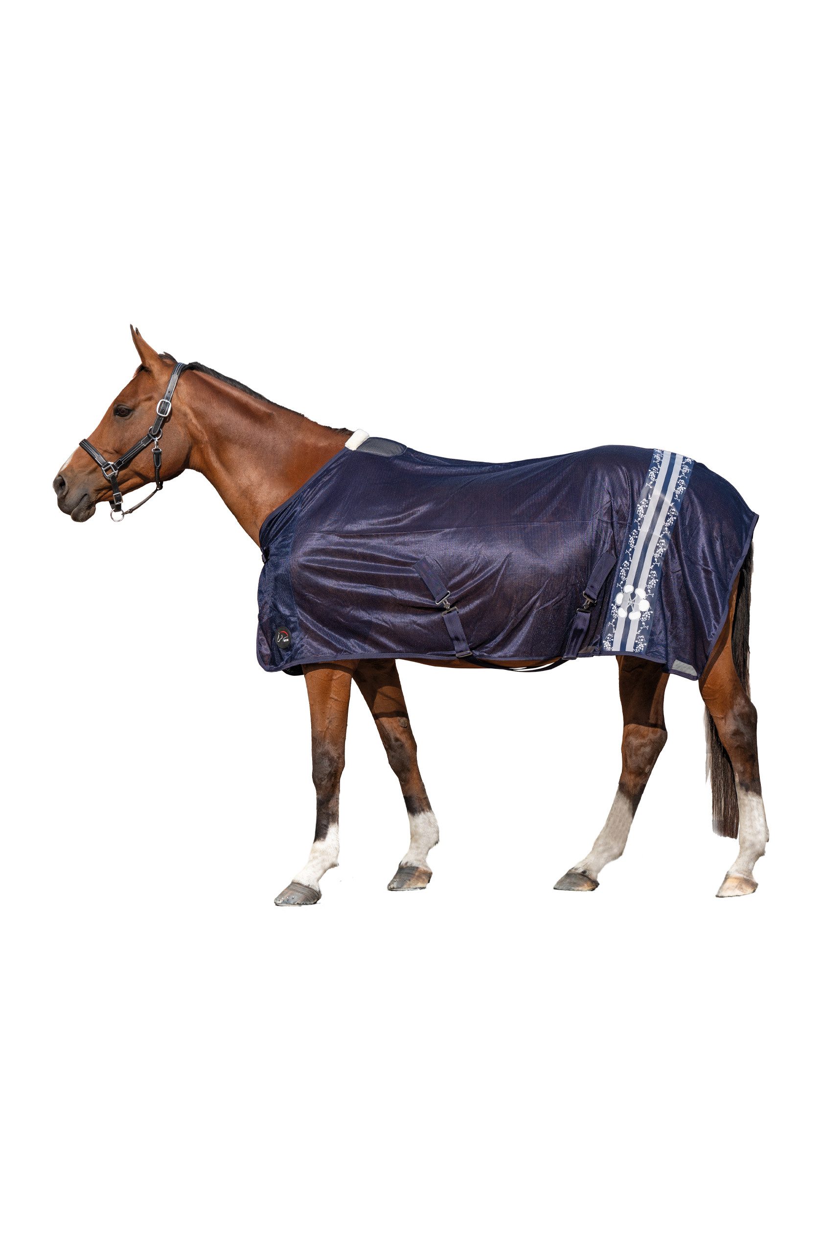 new Azul oscuro new Azul oscuro