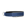 Collar para perro Charlie Back on Track - Azul