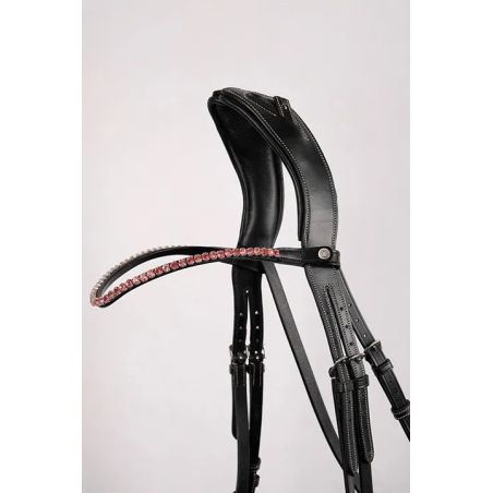 Frontal Montar Fair cristal rosa curvado