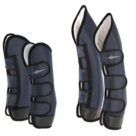 Guarniciones de transporte Dexter Covalliero