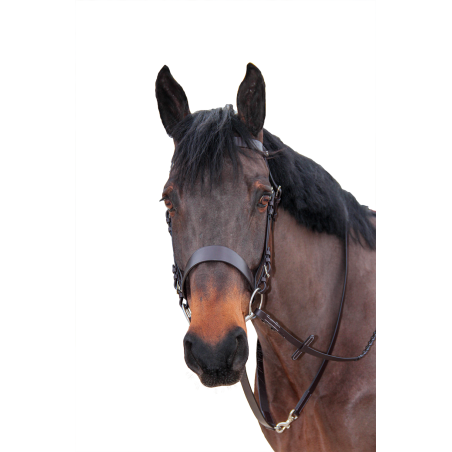 Riendas trenzadas Canter