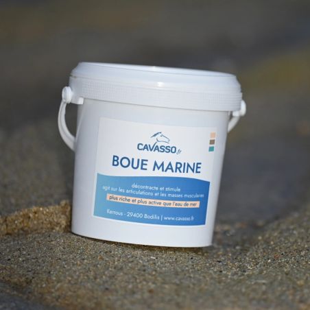 Barro marino equino Cavasso