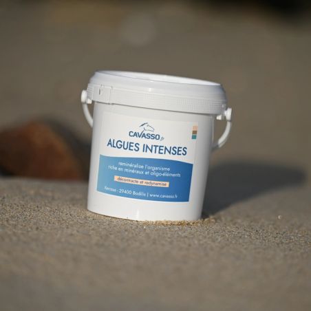 Algas Premium Cavasso